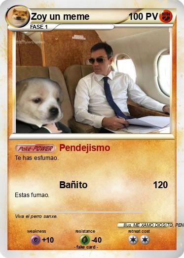 Pokemon Zoy un meme