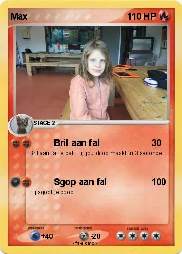 Pokemon Max
