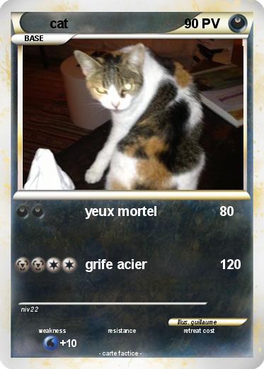 Pokemon cat
