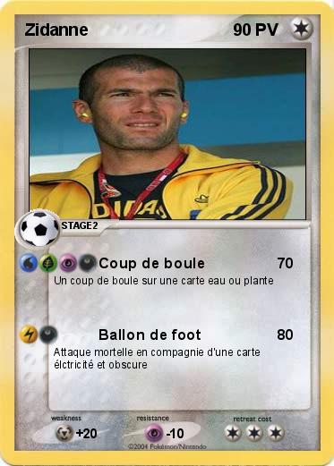 Pokemon Zidanne