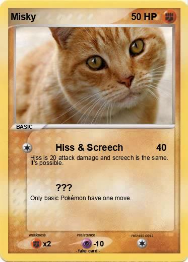 Pokemon Misky