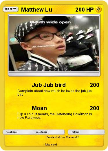 Pokemon Matthew Lu