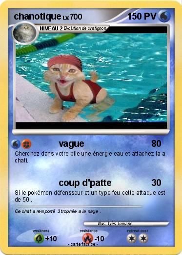 Pokemon chanotique