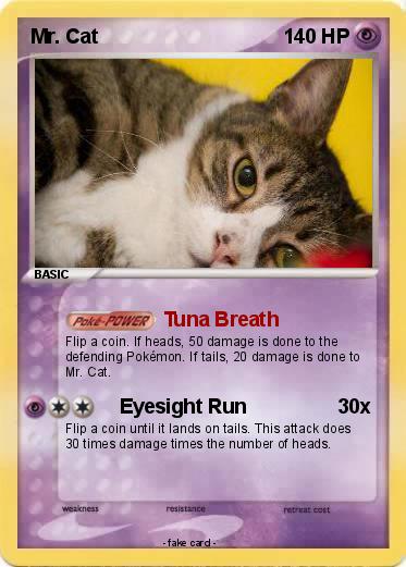 Pokemon Mr. Cat