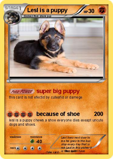 Pokemon Lesl is a puppy