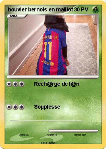 Pokemon bouvier bernois en maillot