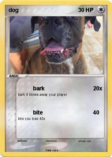 Pokemon dog