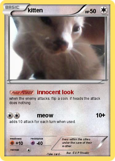 Pokemon kitten