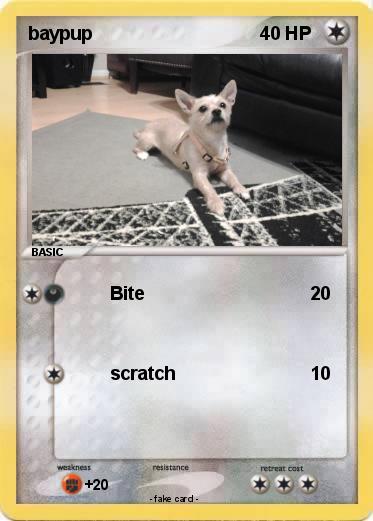 Pokemon baypup
