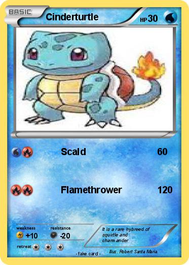 Pokemon Cinderturtle