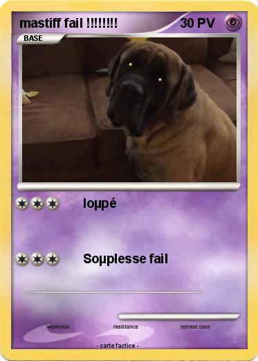 Pokemon mastiff fail !!!!!!!!
