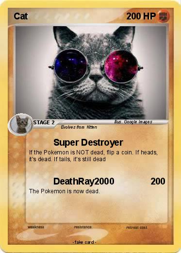 Pokemon Cat