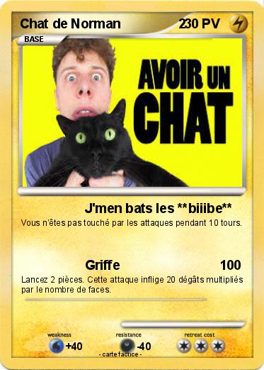 Pokemon Chat de Norman                2