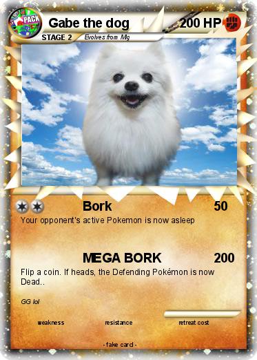 Pokemon Gabe the dog