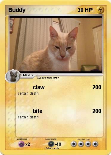 Pokemon Buddy