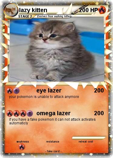 Pokemon lazy kitten