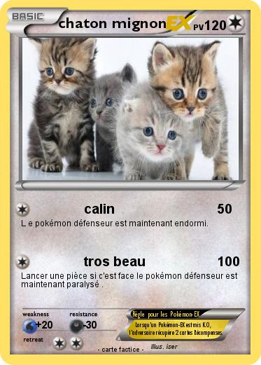 Pokemon chaton mignon