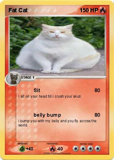 Pokemon Fat Cat
