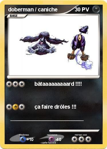 Pokemon doberman / caniche