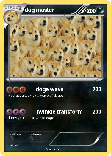 Pokemon dog master