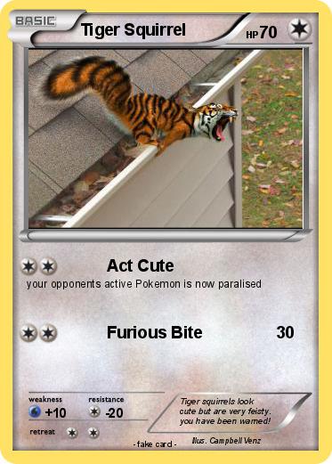 Pokemon Tiger Squirrel