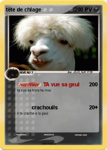 Pokemon tête de chlage