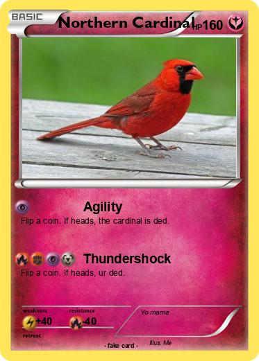 Pokemon Northern Cardinal