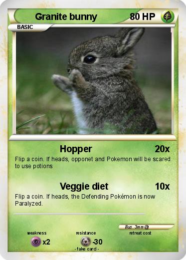 Pokemon Granite bunny