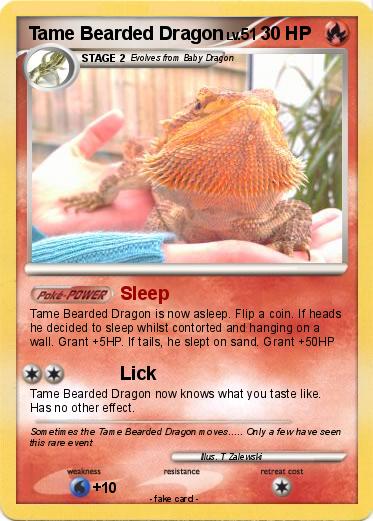 Pokemon Tame Bearded Dragon
