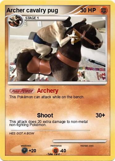 Pokemon Archer cavalry pug