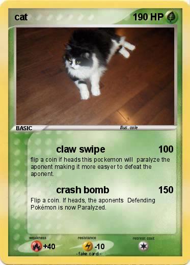 Pokemon cat