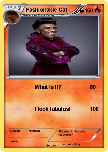 Pokemon Fashionable Cat