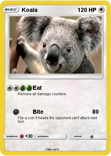 Pokemon Koala