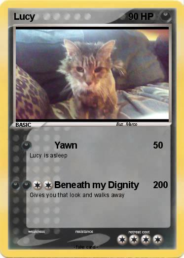 Pokemon Lucy