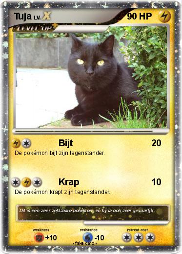 Pokemon Tuja