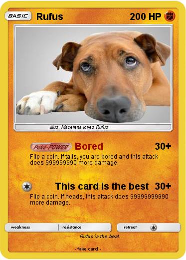 Pokemon Rufus