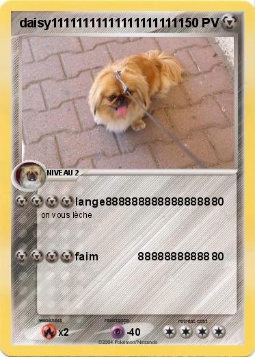 Pokemon daisy111111111111111111111