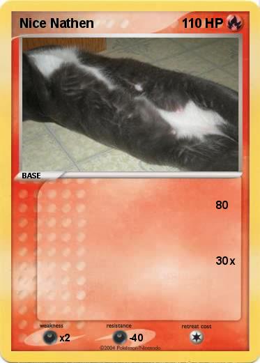 Pokemon Nice Nathen