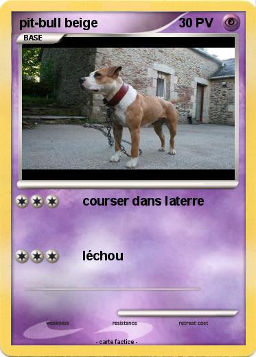 Pokemon pit-bull beige