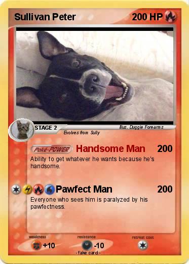 Pokemon Sullivan Peter
