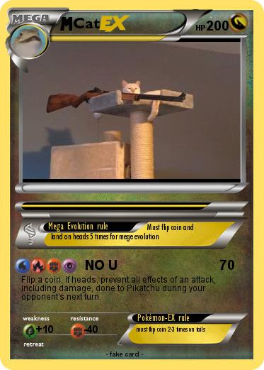Pokemon Cat