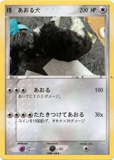 Pokemon 種　あおる犬