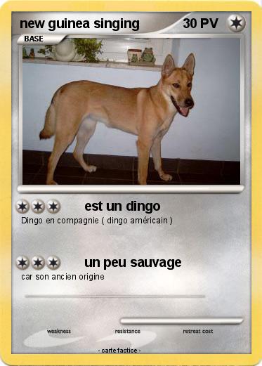 Pokemon new guinea singing