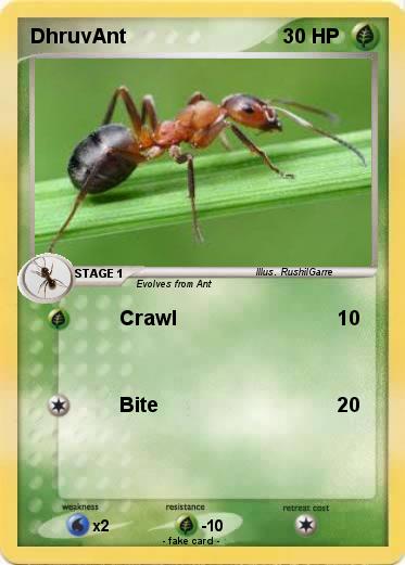 Pokemon DhruvAnt