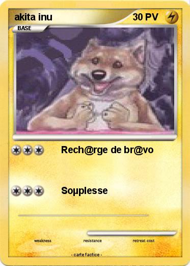 Pokemon akita inu