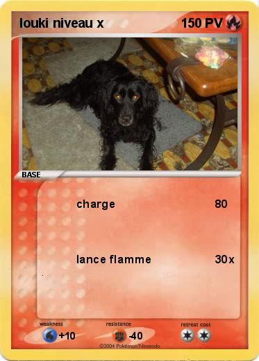 Pokemon louki niveau x