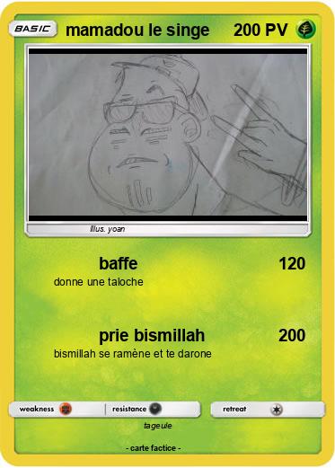 Pokemon mamadou le singe
