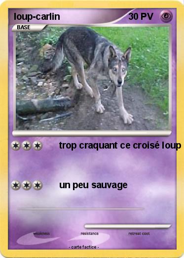 Pokemon loup-carlin