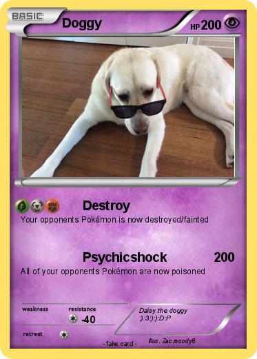 Pokemon Doggy