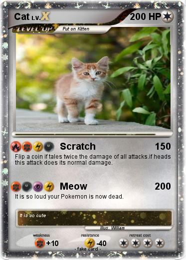Pokemon Cat